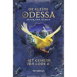 Foto van Het geheim van lode a - de kleine odessa