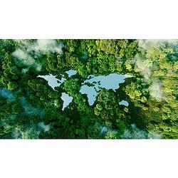 Foto van Inductiebeschermer - jungle world - 60x55 cm