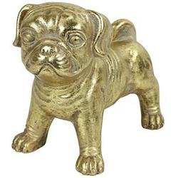 Foto van Decoratief beeld hond pugsy 20 cm - goud