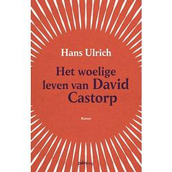 Foto van Het woelige leven van david castorp