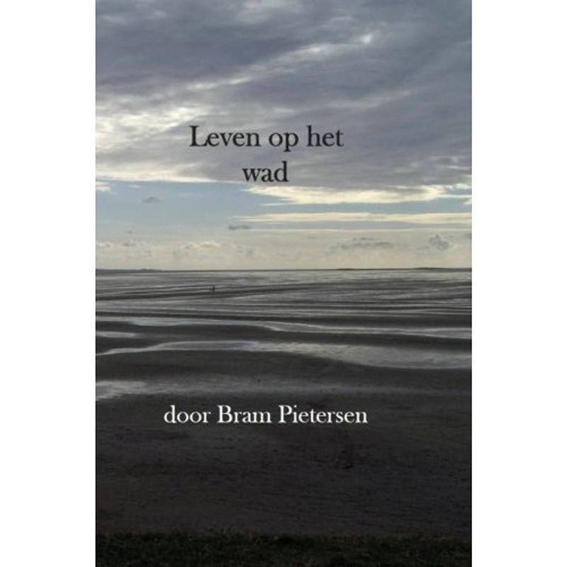 Foto van Leven op het wad