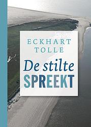 Foto van De stilte spreekt - eckhart tolle - ebook (9789020213621)