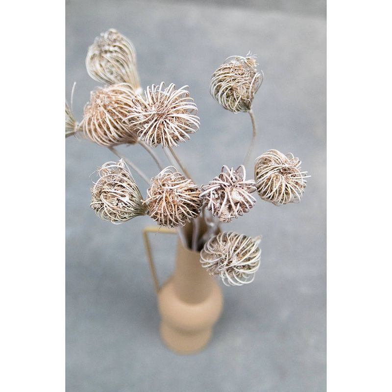 Foto van Couronne bundeltje gedroogde bloemen ammi white wash