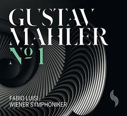 Foto van Mahler: symphony no.1 - lp (4260313969999)