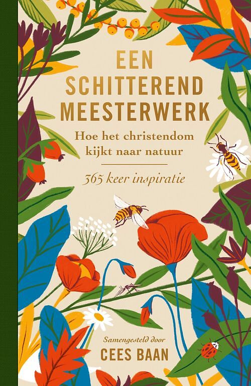 Foto van Een schitterend meesterwerk - cees baan - ebook (9789043538893)