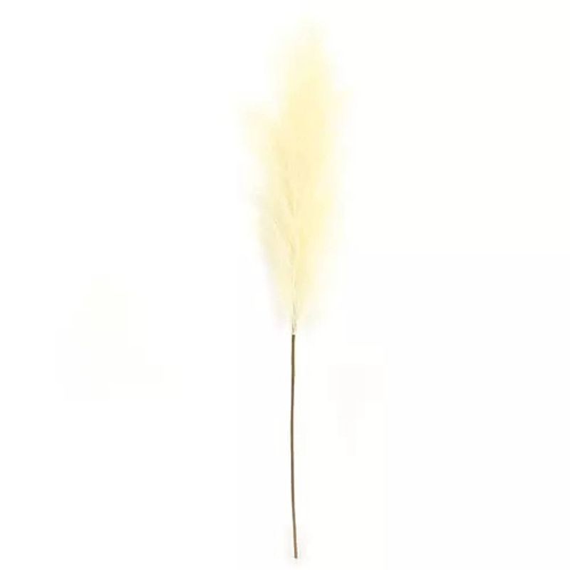 Foto van Buitengewoon de boet - pampas gras 60 cm licht geel kunstplant