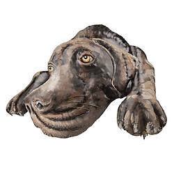 Foto van Clayre & eef multi wanddecoratie hond 70*5*52 cm 5wa0119