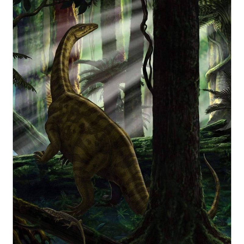 Foto van Komar riojasaurus forest vlies fotobehang 250x280cm 5-banen