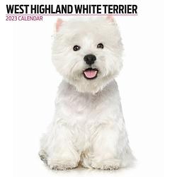 Foto van West highland white terrier kalender 2023 modern