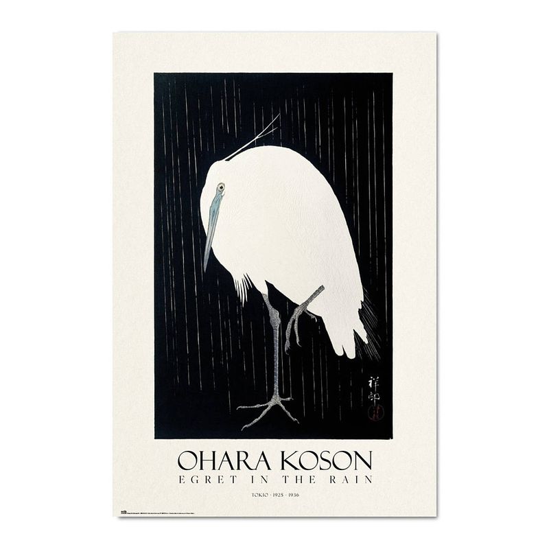 Foto van Grupo erik egret in the rain poster 61x91,5cm