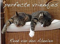 Foto van Perfecte vriendjes - rené van den abeelen - paperback (9789402121117)