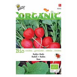 Foto van 5 stuks organic radijs raxe (skal 14275)