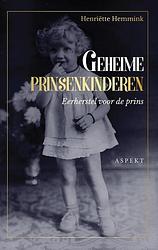 Foto van Geheime prinskinderen - henriette hemmink - ebook (9789464242478)