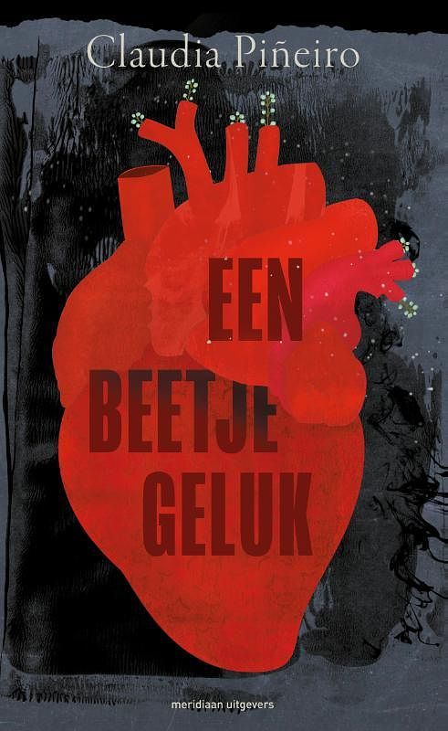 Foto van Een beetje geluk - claudia piñeiro - paperback (9789493305229)