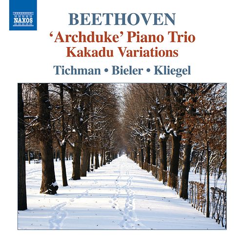 Foto van Beethoven; piano trios volume 5 - cd (0747313234370)