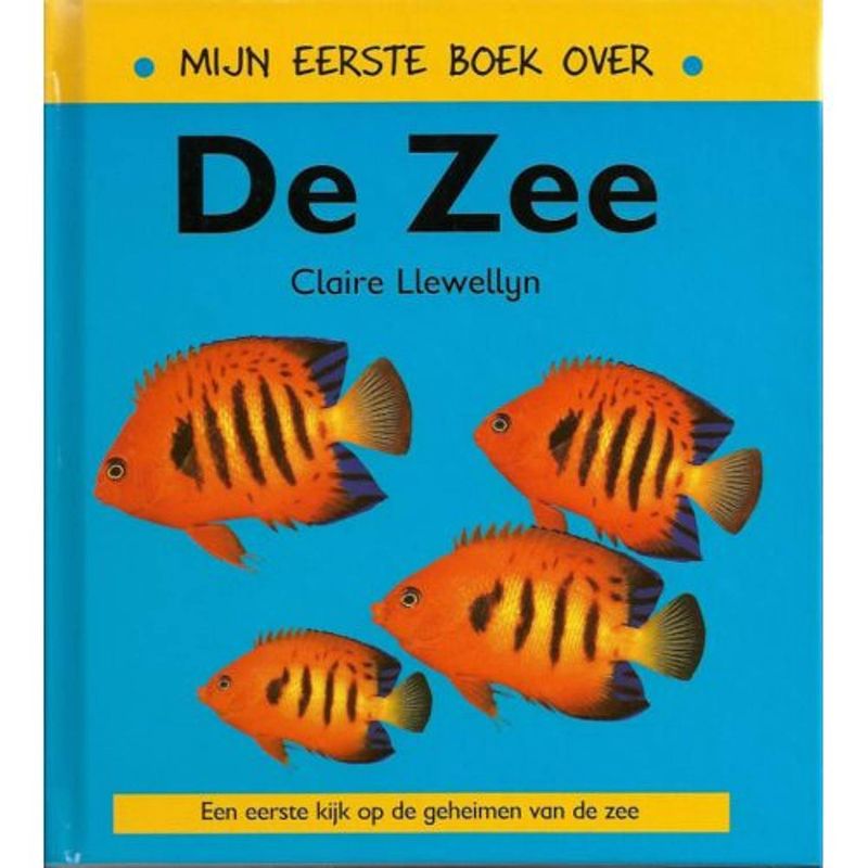 Foto van Mijn eerste boek over de zee - mijn eerste boek