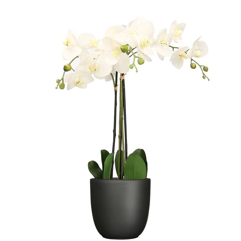 Foto van Orchidee kunstplant wit - 75 cm - inclusief bloempot zwart mat - kunstplanten