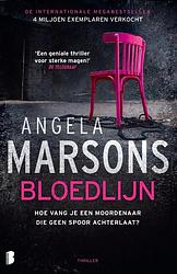 Foto van Kim stone 5 - bloedlijn - angela marsons - paperback (9789022591697)