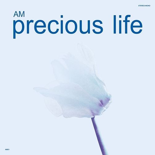 Foto van Precious life - cd (0881034154064)