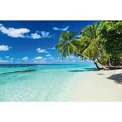 Foto van Dimex paradise beach vlies fotobehang 375x250cm 5-banen