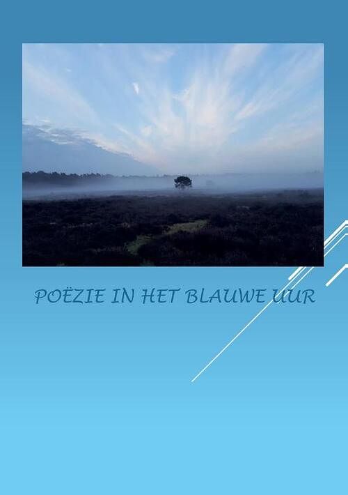 Foto van Poëzie in het blauwe uur - anna van mansom - paperback (9789464437072)