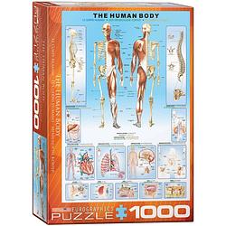 Foto van Eurographics puzzel the human body - 1000 stukjes