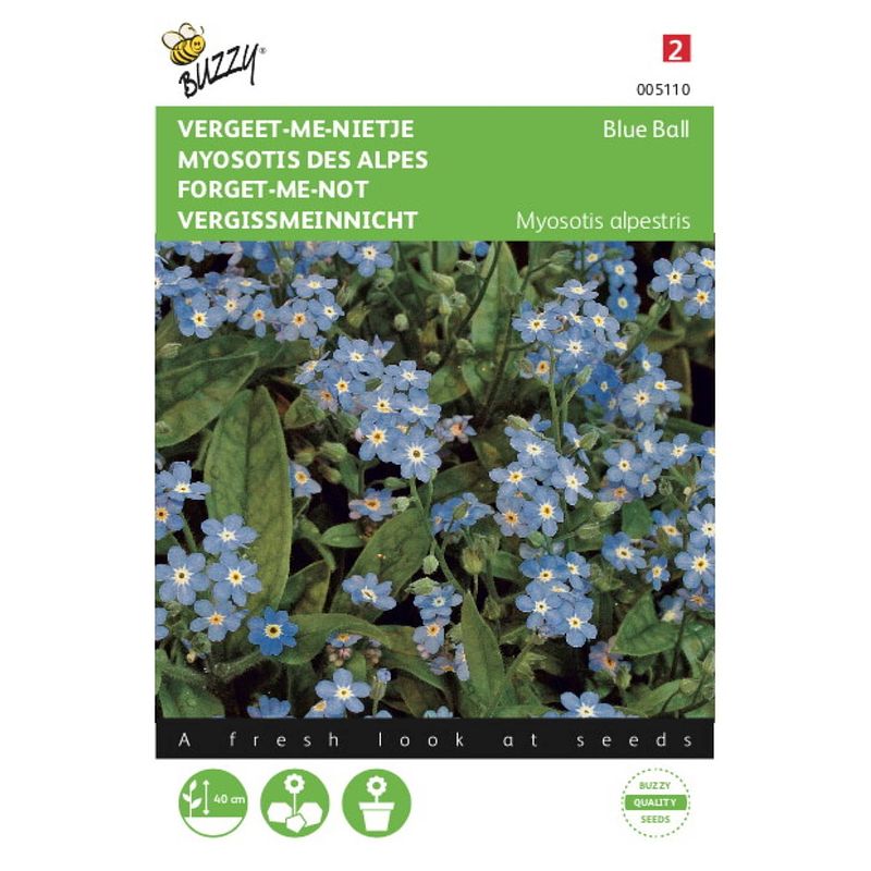 Foto van 2 stuks myosotis alpestris blauw vergeet me niet