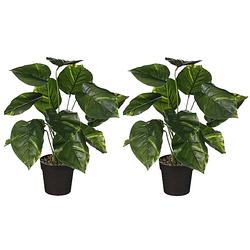 Foto van Mica decoration kunstplant philodendron - 2x - groen - h40 en d35 cm - kamerplant - kunstplanten