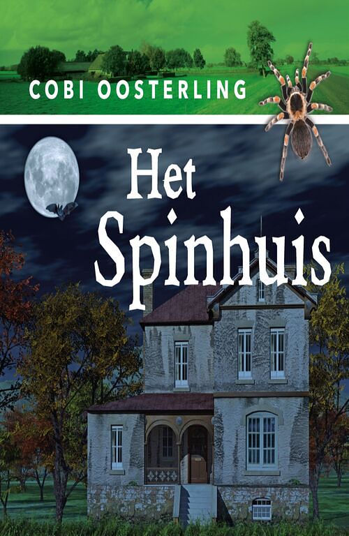 Foto van Het spinhuis - cobi oosterling - ebook (9789462176171)