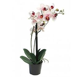 Foto van Phalaenopsis orchidee in pot 50 cm roze kunstplant nova nature