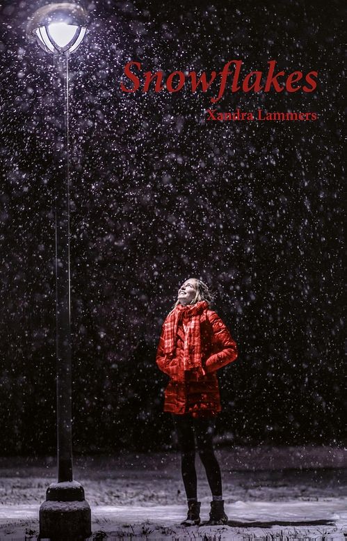 Foto van Snowflakes - xandra lammers - ebook