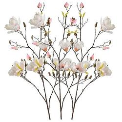 Foto van 3x creme magnolia kunstbloemen tak 105 cm - kunstbloemen