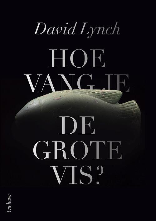 Foto van Hoe vang je de grote vis? - david lynch - ebook (9789025907105)