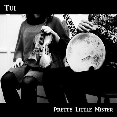 Foto van Pretty little mister - cd (0888295874571)