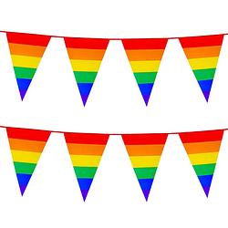 Foto van 2x stuks boland pe vlaggenlijn - 8m - regenboog - universeel thema - vlaggenlijnen