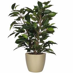 Foto van Groene ficus kunstplant 40 cm met plantenpot parelgoud d13.5 en h12.5 cm - kunstplanten