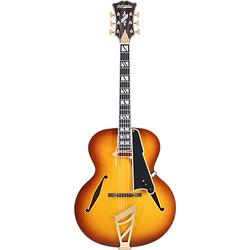 Foto van D'sangelico excel style b dark iced tea burst semi-akoestische gitaar met deluxe hardshell koffer