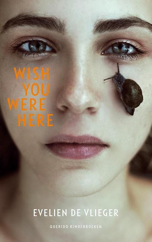 Foto van Wish you were here - evelien de vlieger - ebook (9789045120966)