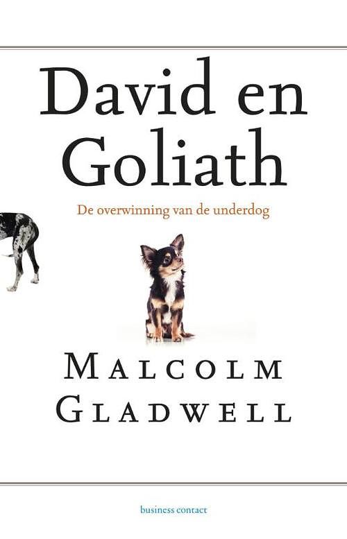 Foto van David en goliath - malcom gladwell - ebook