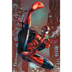 Foto van Pyramid spider man web sling poster 61x91,5cm