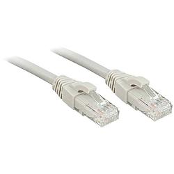 Foto van Lindy 48150 rj45 netwerkkabel, patchkabel cat 6 u/utp 0.5 m grijs 50 stuk(s)