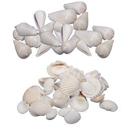Foto van Decoratie/hobby schelpen mix - 2x 500 gr - naturel wit en gebleekt - hobbydecoratieobject