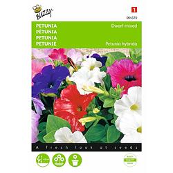 Foto van 2 stuks petunia hybrida nana compacta gemengd