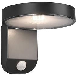 Foto van Led solar tuinverlichting - trion posyda - zonne-energie - bewegingssensor - 4w - mat zwart