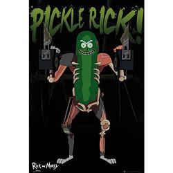 Foto van Gbeye rick and morty pickle rick poster 61x91,5cm