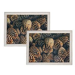 Foto van Set van 2x stuks schootkussens/laptrays dennenappels print 43 x 33 cm - sierkussens