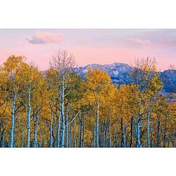 Foto van Wizard+genius birches and mountains vlies fotobehang 384x260cm 8-banen
