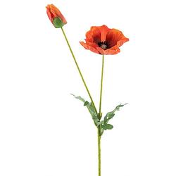 Foto van Nova nature - poppy spray soo orange 62 cm kunstbloemen