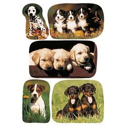 Foto van 15x honden/puppy dieren stickers - stickers
