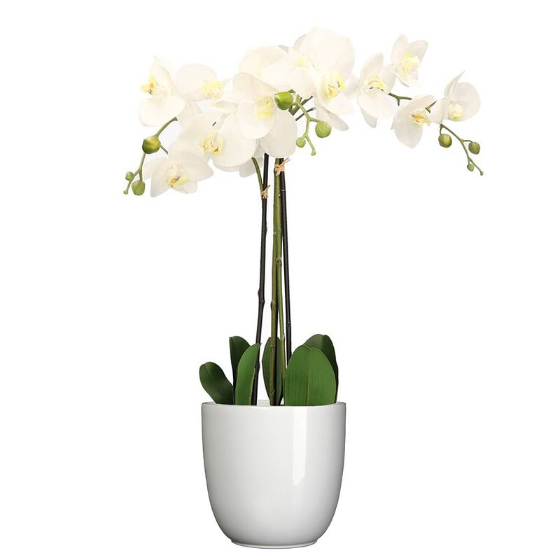 Foto van Orchidee kunstplant wit - 75 cm - inclusief bloempot wit glans - kunstplanten